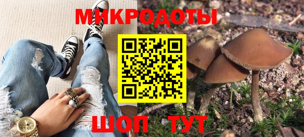 Псилоцибиновые грибы MAGIC MUSHROOMS  Галлюциногенные грибы мицелий  Энгельс  Вход с VPN 