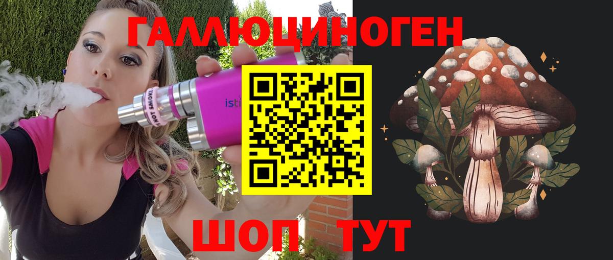 Псилоцибиновые грибы Psilocybine cubensis Энгельс